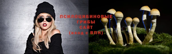 стафф Абаза