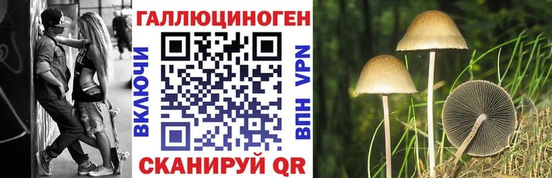 наркотики  Краснозаводск  Псилоцибиновые грибы мухоморы 